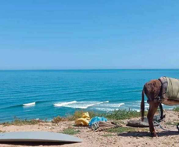 med surf lessons mirleft - Casablanca - +39 333 118 9862