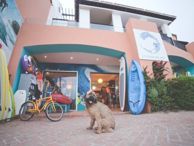 La Crique Surf Shop - Bouznika - +212 5376-25078