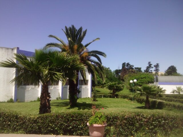 Faculté des Sciences el Jadida - El Jadida - +212 5233-42325