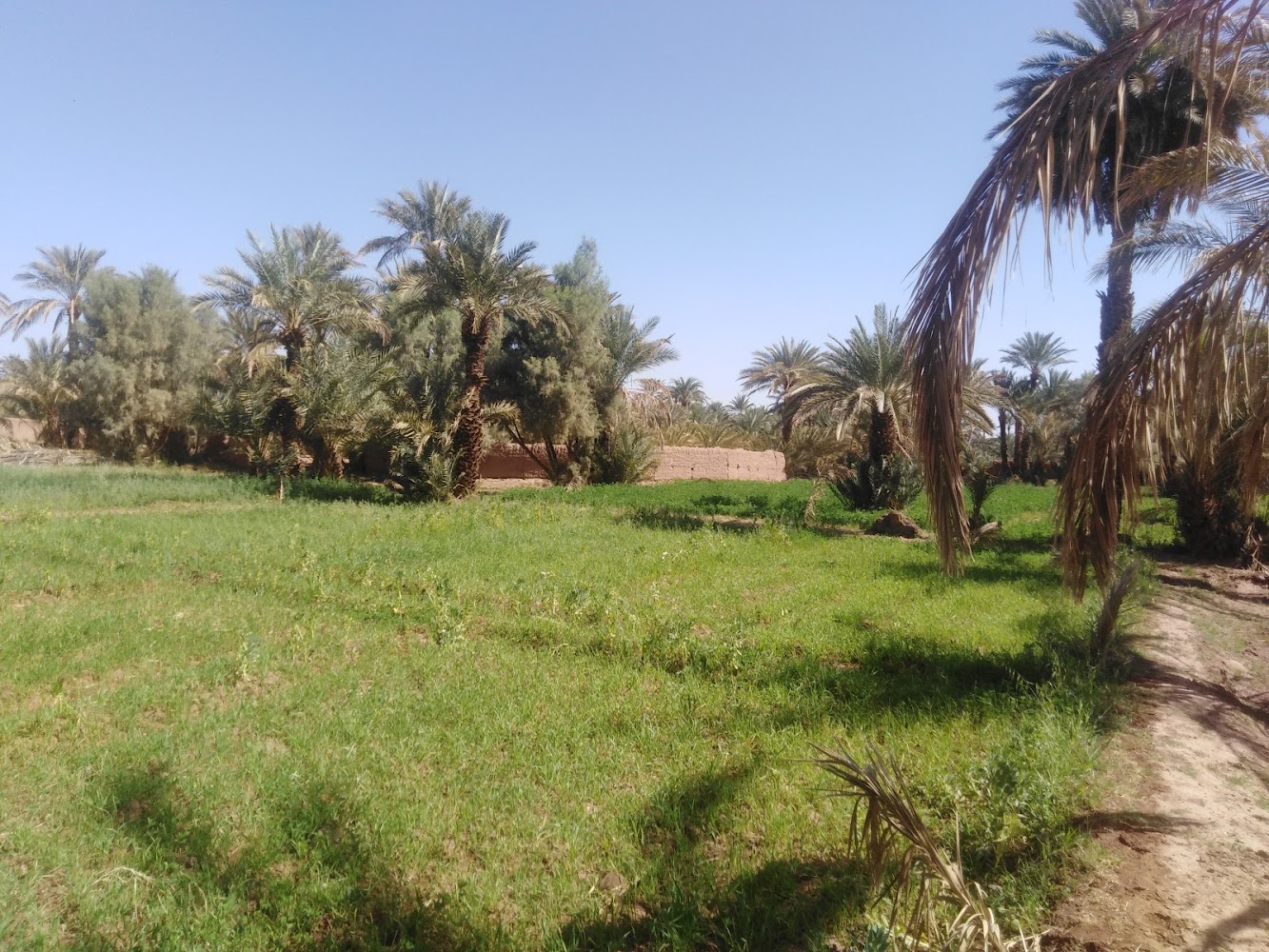 Zagora - Zagora -