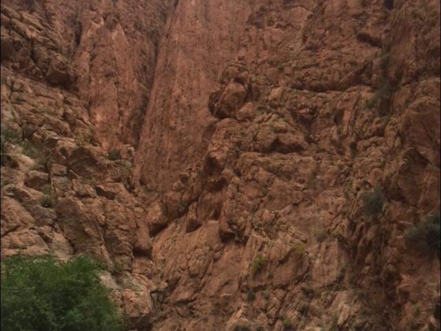 Les gorges de toudgha - Tinghir -