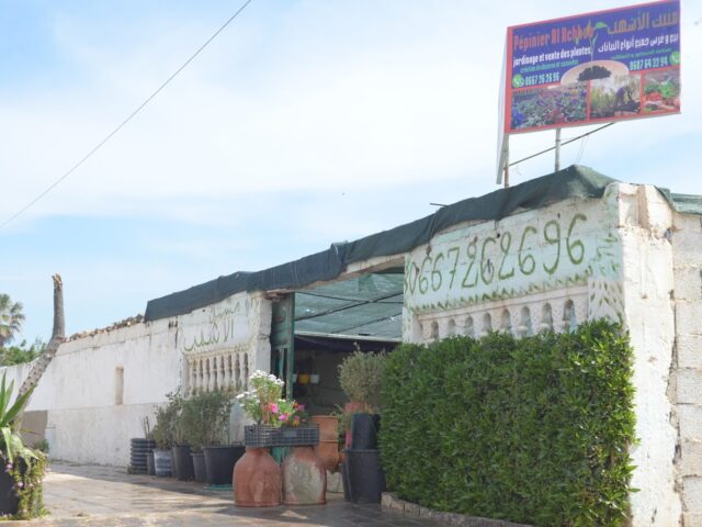 Pépinière AL ACHHAB - El Jadida - +212 667-262696