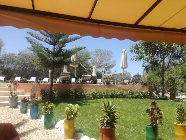Casa Naima - Essaouira - +212 661-868865