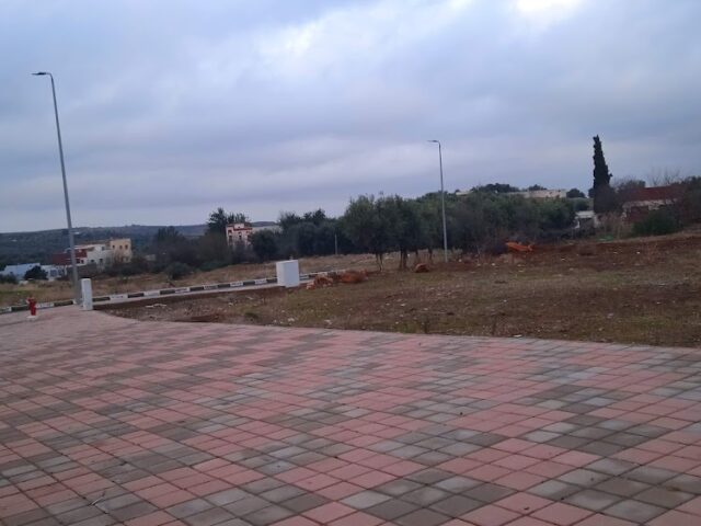 Shell - Sefrou - +212 5229-20020