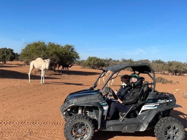 Tours In Agadir - Agadir - +212 661-398548
