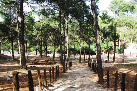 Sidi Maafa - Oujda - +212 615-315932