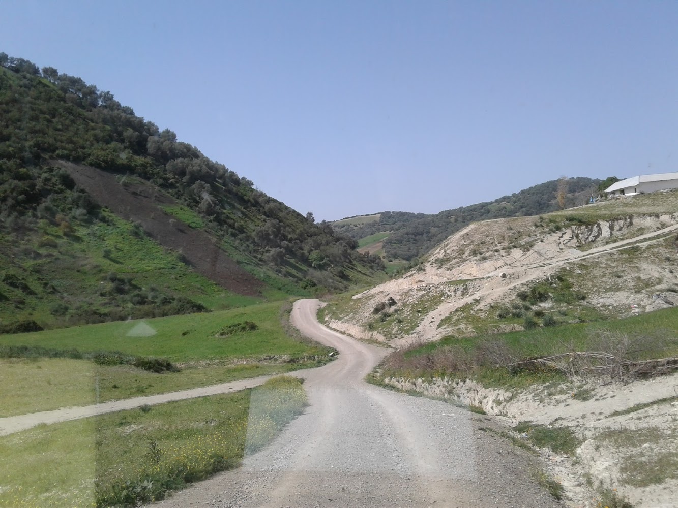 معصرة الزيتون وزان