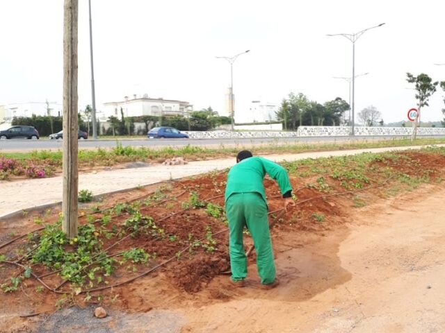New Garden S.a.r.l - Rabat - +212 623-473763
