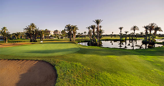 Golf Club Rotana Palmeraie Marrakech - Marrakech - +212 5243-68766