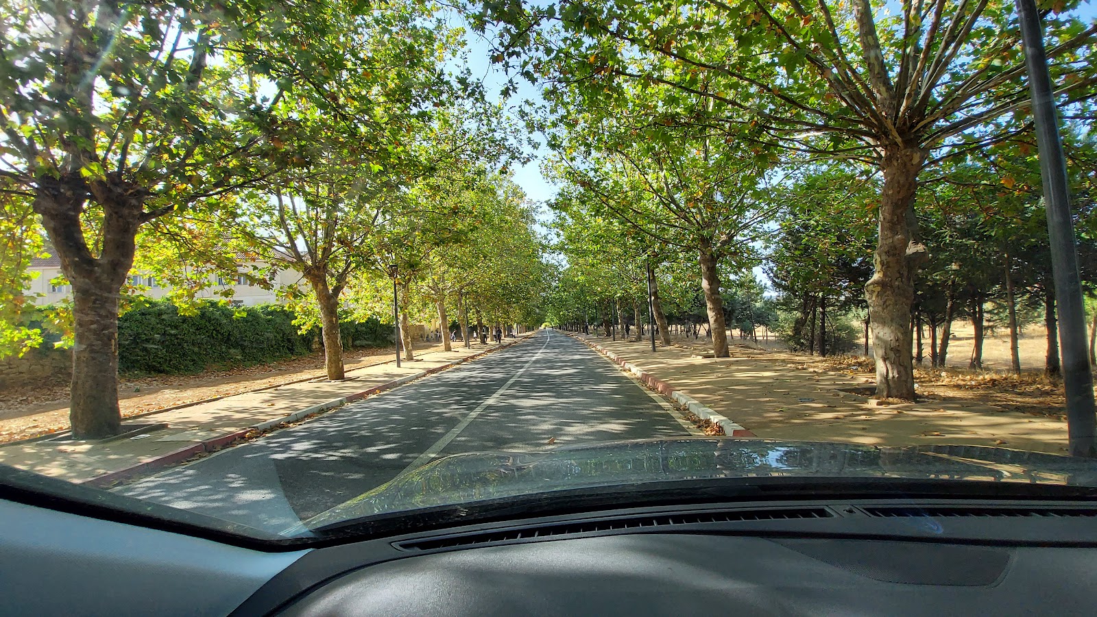 Terrain sportif de Pétanque Ifrane - Ifrane -