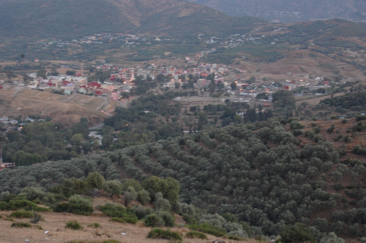 STUDIO ZOUMI - Zoumi