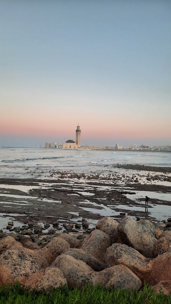 Erragouba - Casablanca