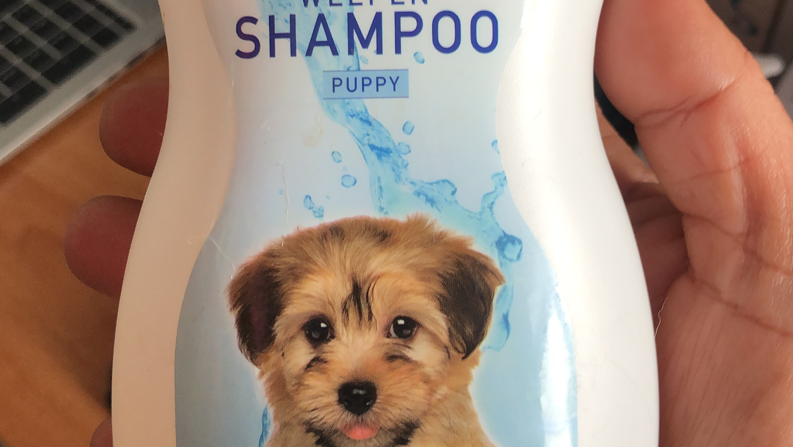 Pets club - Témara