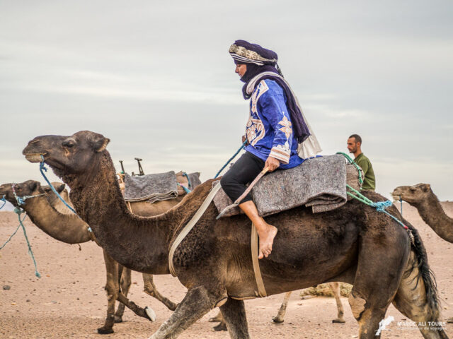 Maroc Ali Tours - Zagora - +212 670-222947