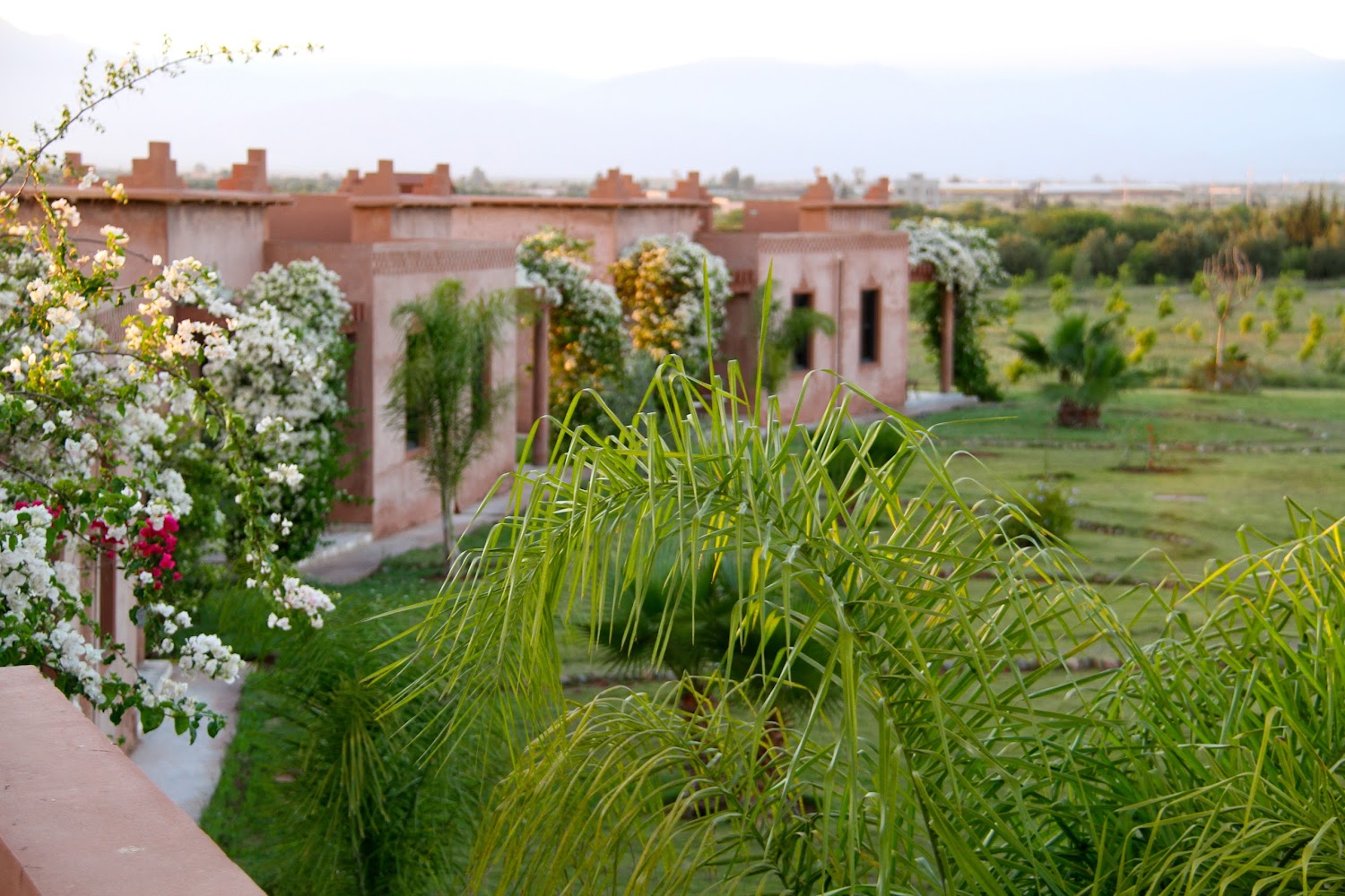 La Ferme Grenadine : maison d'hôtes et ferme pédagogique Ouled Teima - Agadir - Oulad Teima