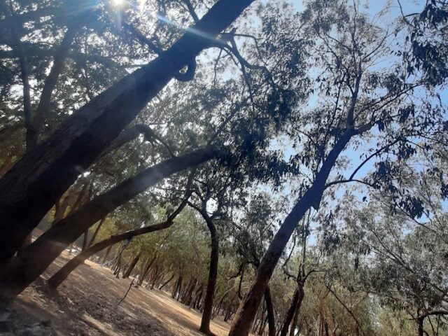 Souss park - Inezgane - +212 618-545855