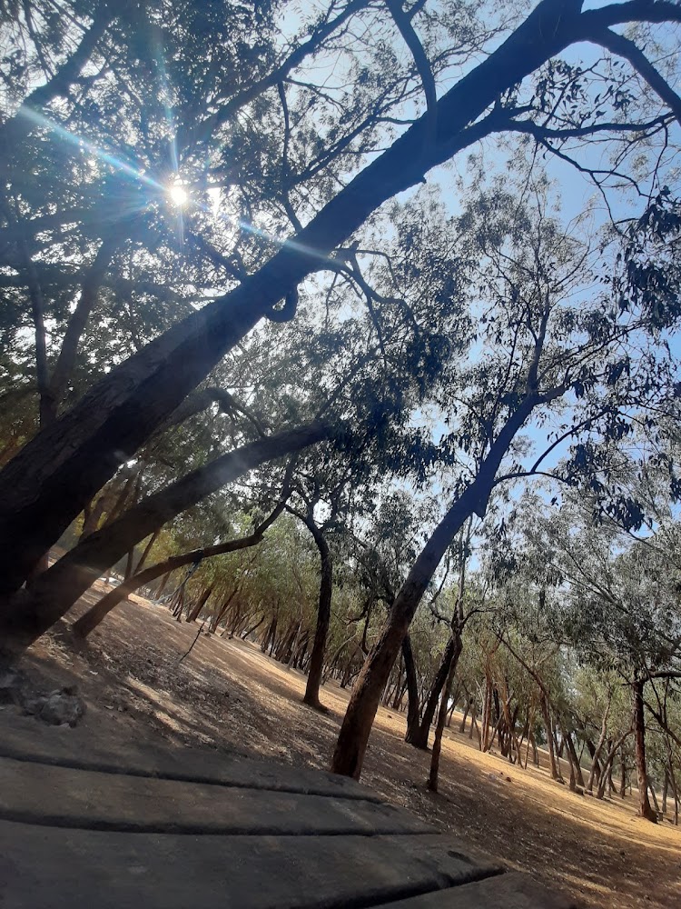 Souss park - Inezgane - +212 618-545855