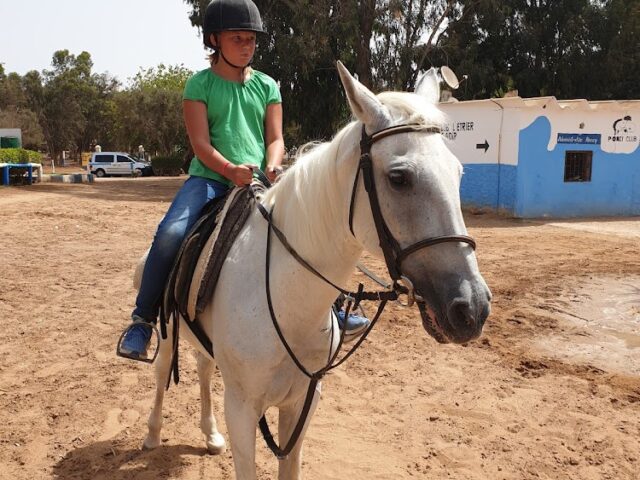 Centre Equestre Bensergao - Agadir - +212 670-341510