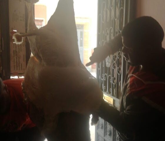 Misons Abderrakib Rachk - Meknès - +212 628-797581