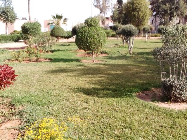 Centre Hospitalier Provincial Hassan I - Tiznit - +212 5288-62374