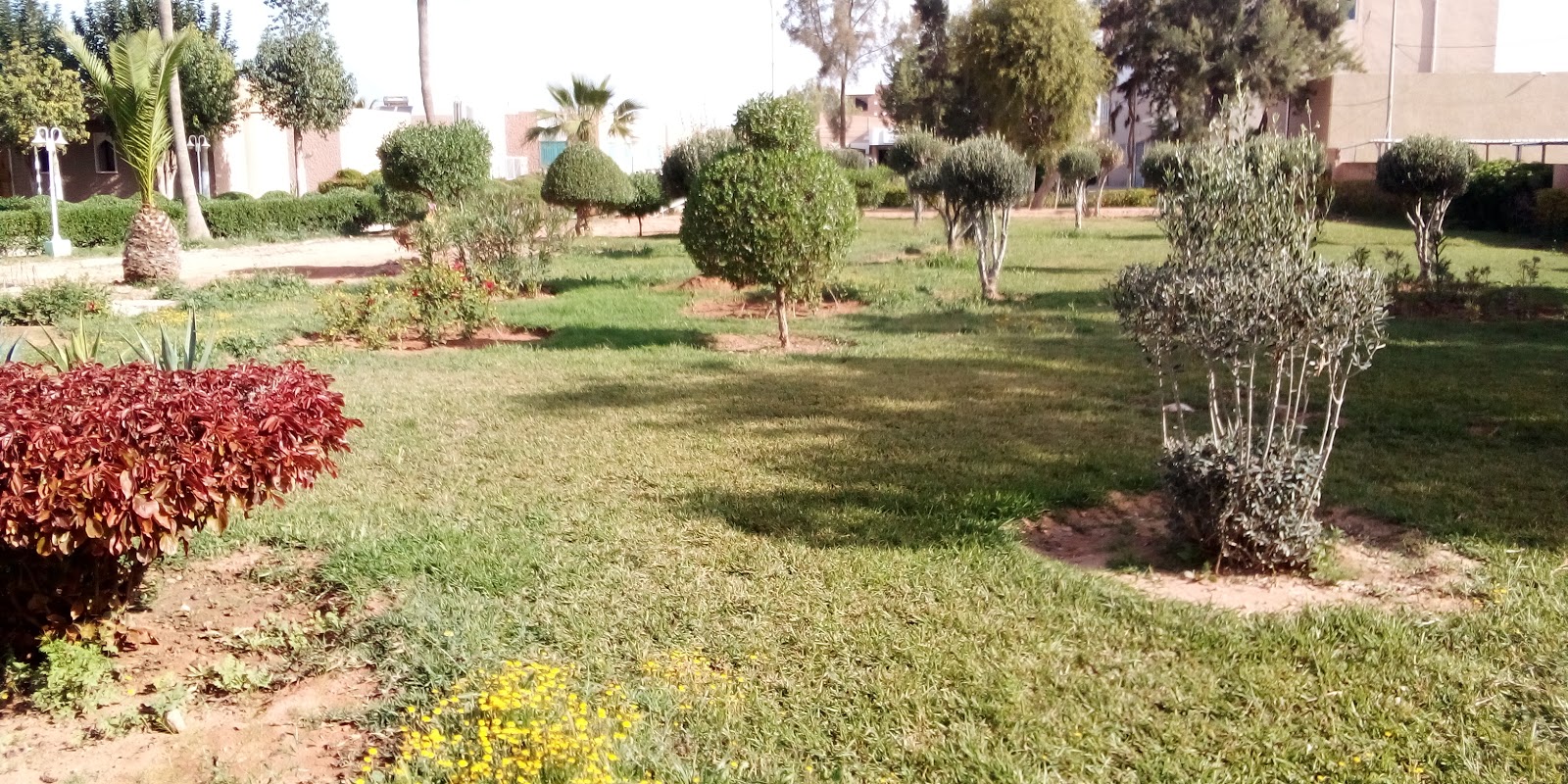 Centre Hospitalier Provincial Hassan I - Tiznit