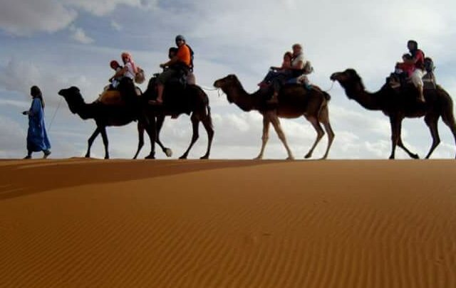 happy travel morocco - Marrakech - +212 604-112154