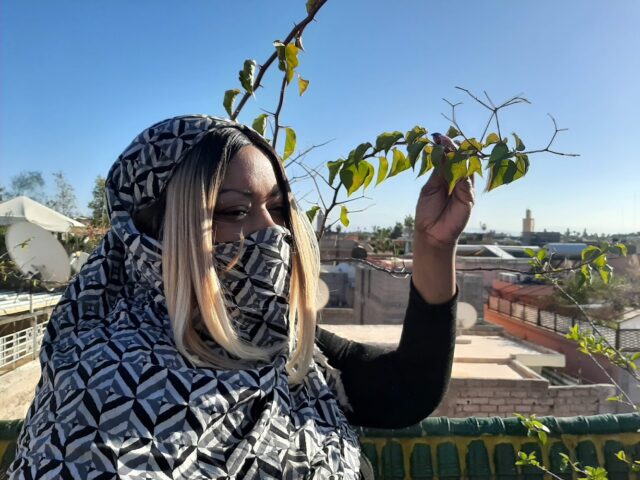 Gnawa Academy - Marrakech - +212 653-590031