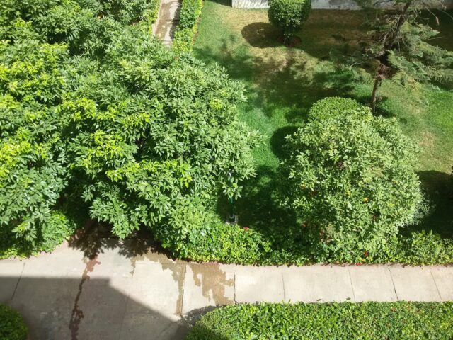 Parc Abdelkrim Elkhettabi - Casablanca -