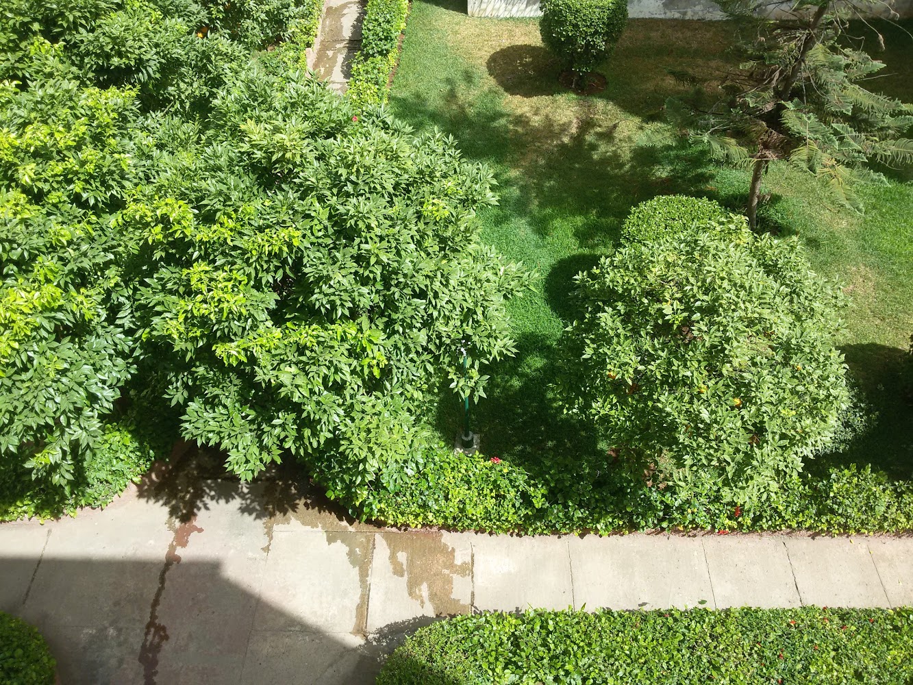 Parc Abdelkrim Elkhettabi - Casablanca