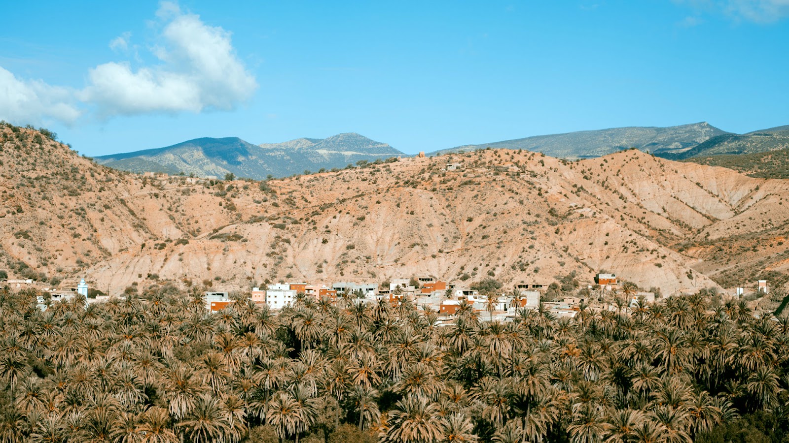 Amazigh Hike and Yoga - Aourir