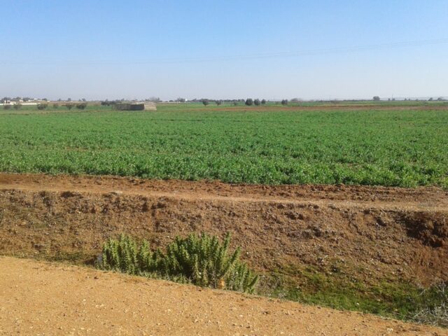 tiran de football Najm El Aounate - Arba Aounate -