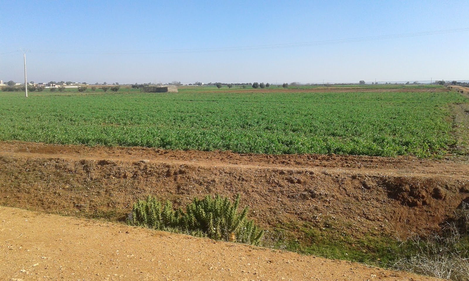 tiran de football Najm El Aounate - Arba Aounate