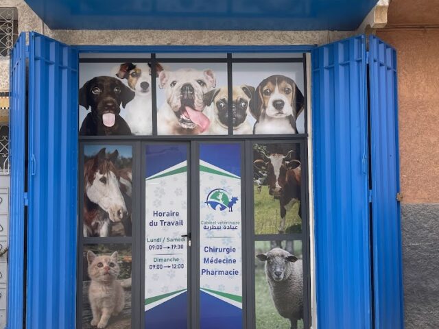 Cabinet Veterinaire Anidoc - Oued Zem - +212 660-335683