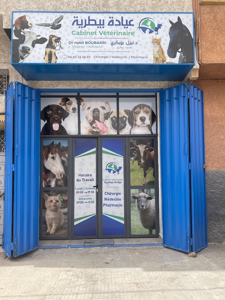 Cabinet Veterinaire Anidoc - Oued Zem
