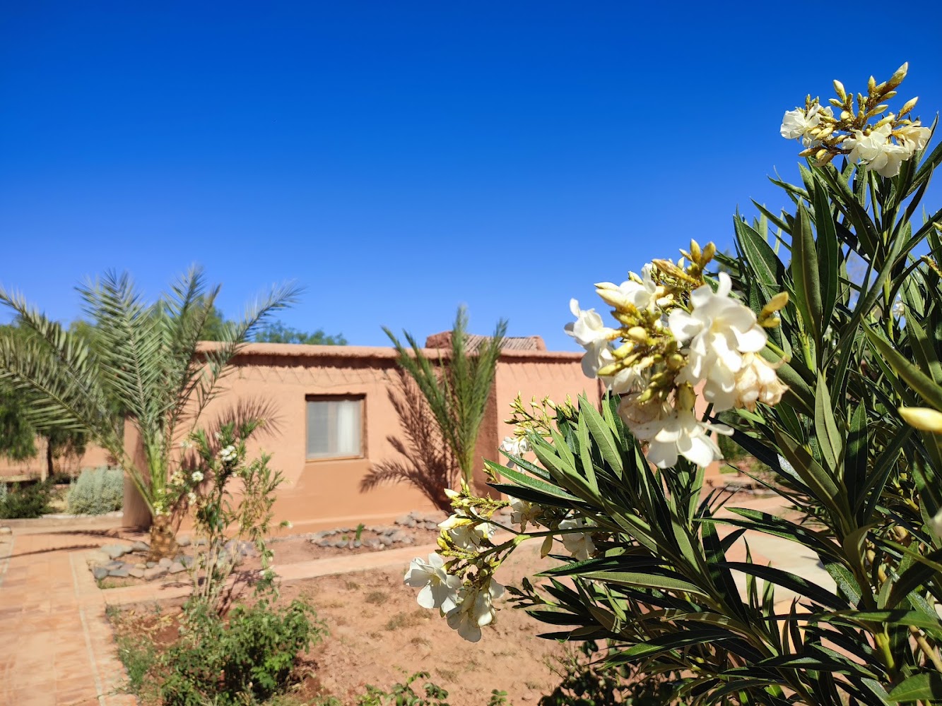 Maison D'hotes Tigminou -