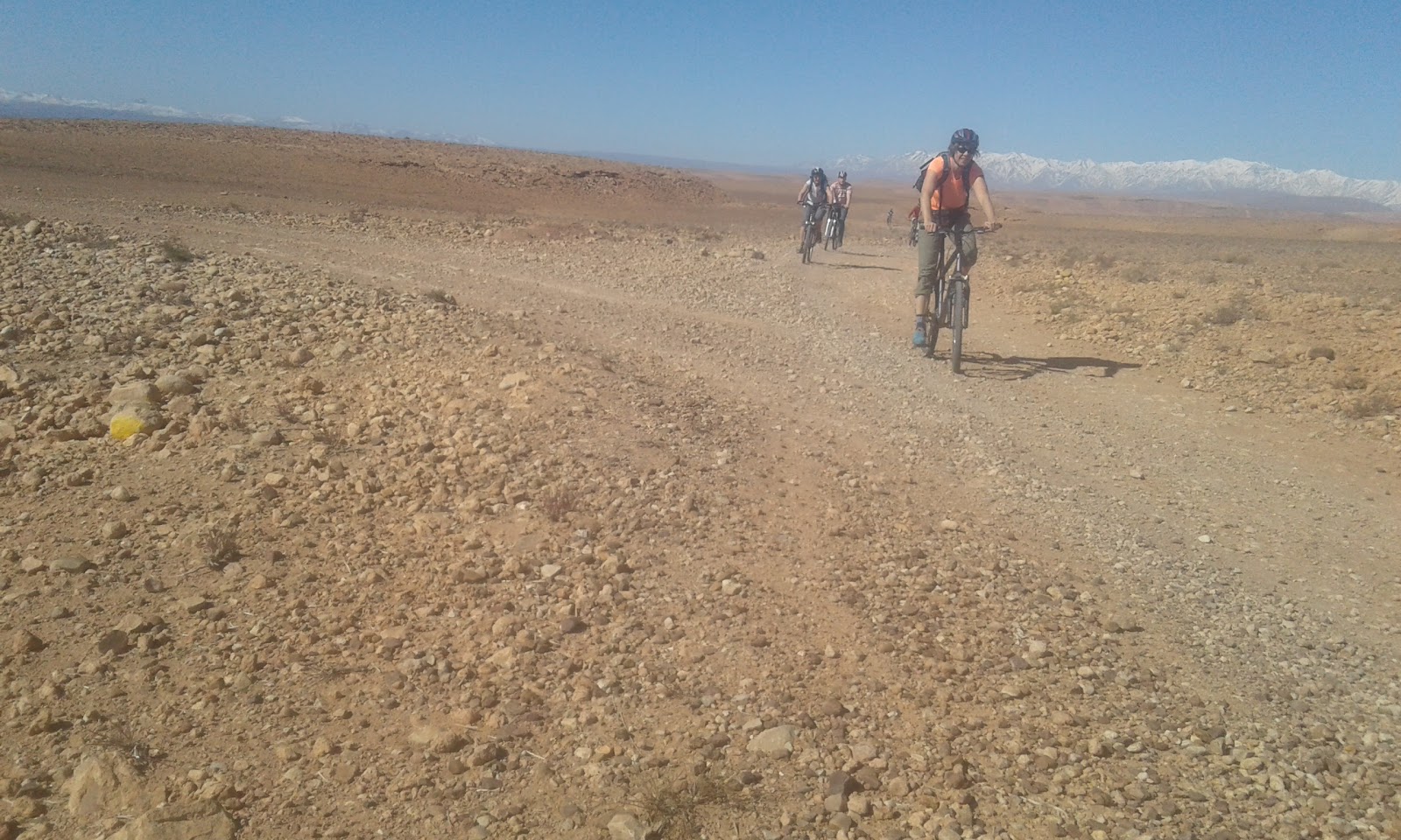 Kedi Aventure Location De Velo - Tarmigte