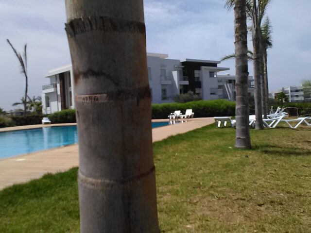 Piscine P11 - Bouskoura -