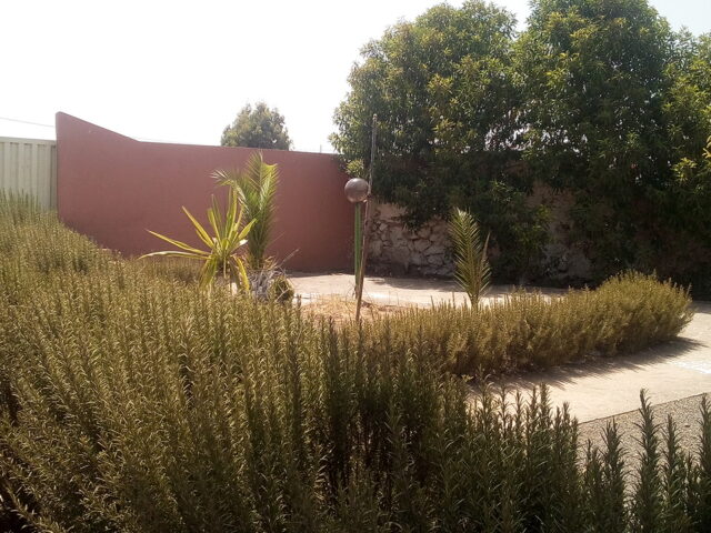 Café Ziz - Jemâa-Shaim - +212 706-349464