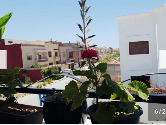 Safiote house Appartement - Safi - +212 612-758769