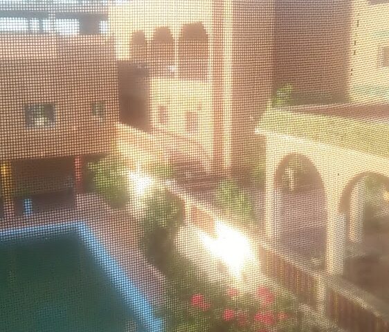 مسبح فندق النخيل piscine - Zagora -