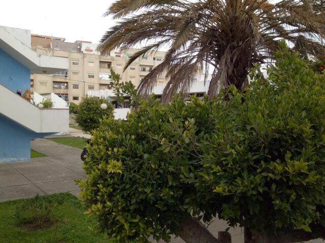 Académie regionale de l'éducation et de formation - Tétouan - +212 5399-70905
