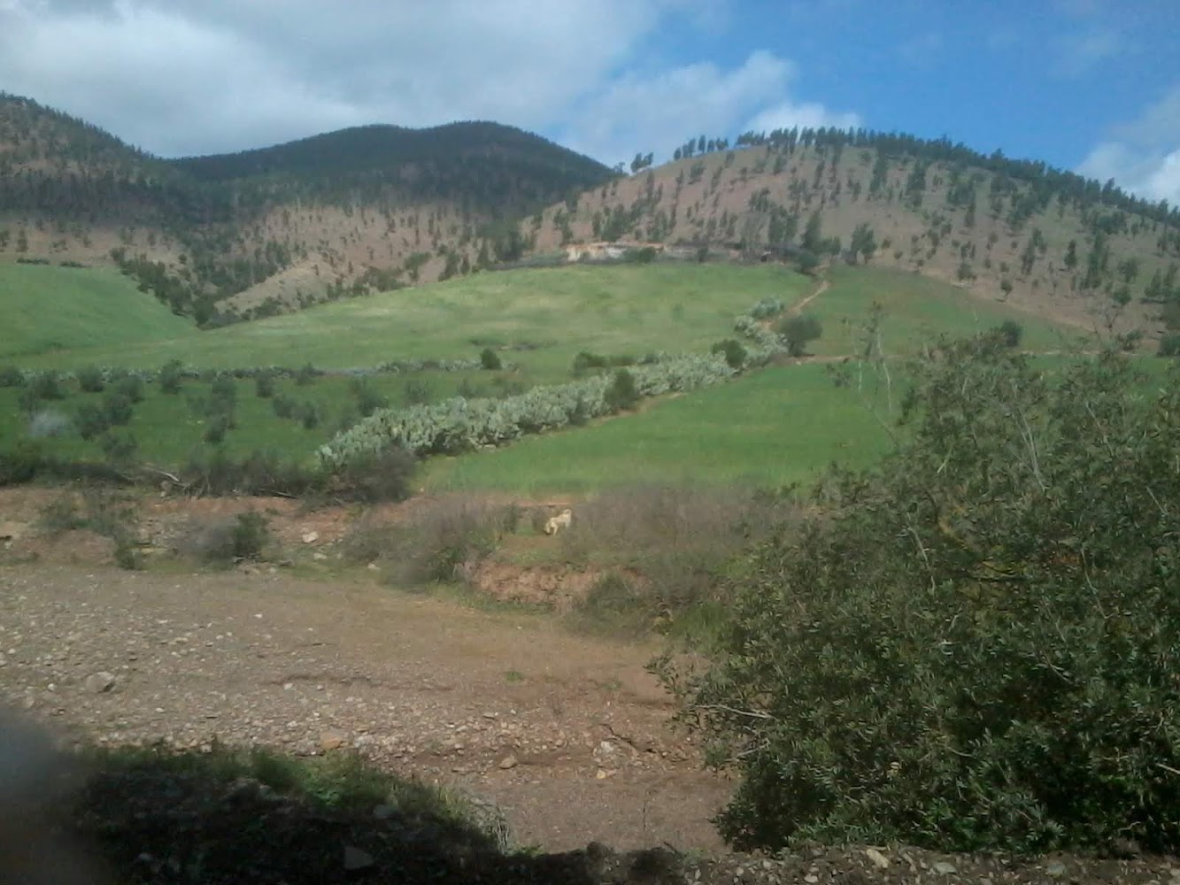 Complexe Sportif Tamesna - Tamesna