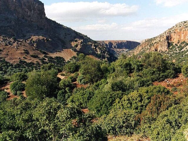 Parc National de Tazekka - Tazaa -