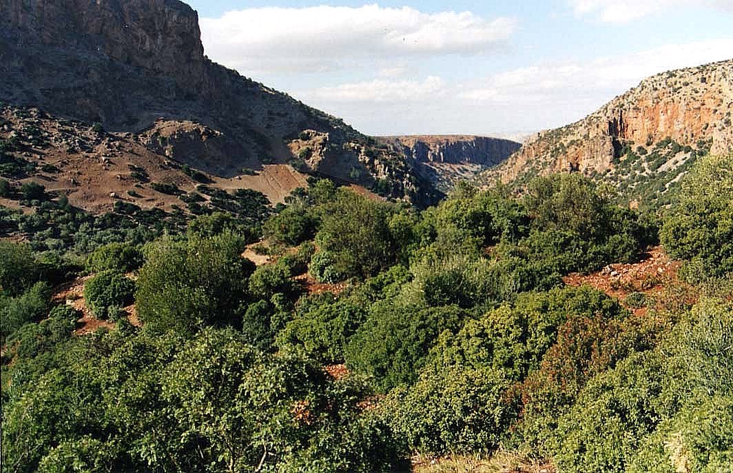 Parc National de Tazekka - Tazaa -