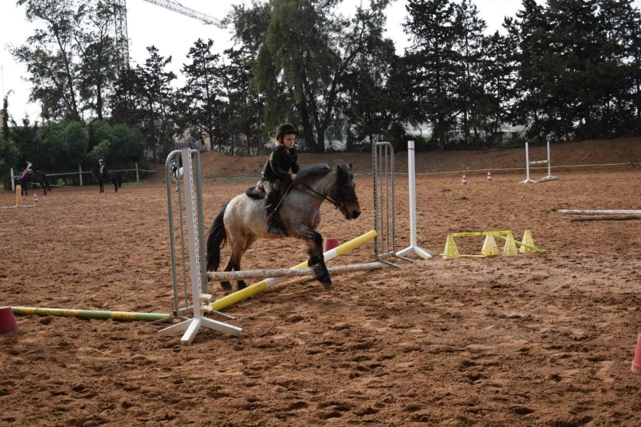 Royal Club Equestre du Lac - Salé