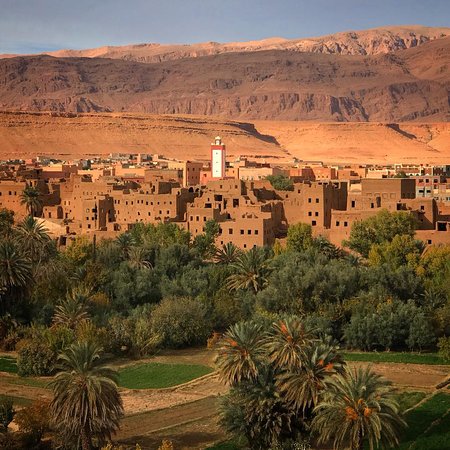 Palmeraie de Tinghir - Tinghir -