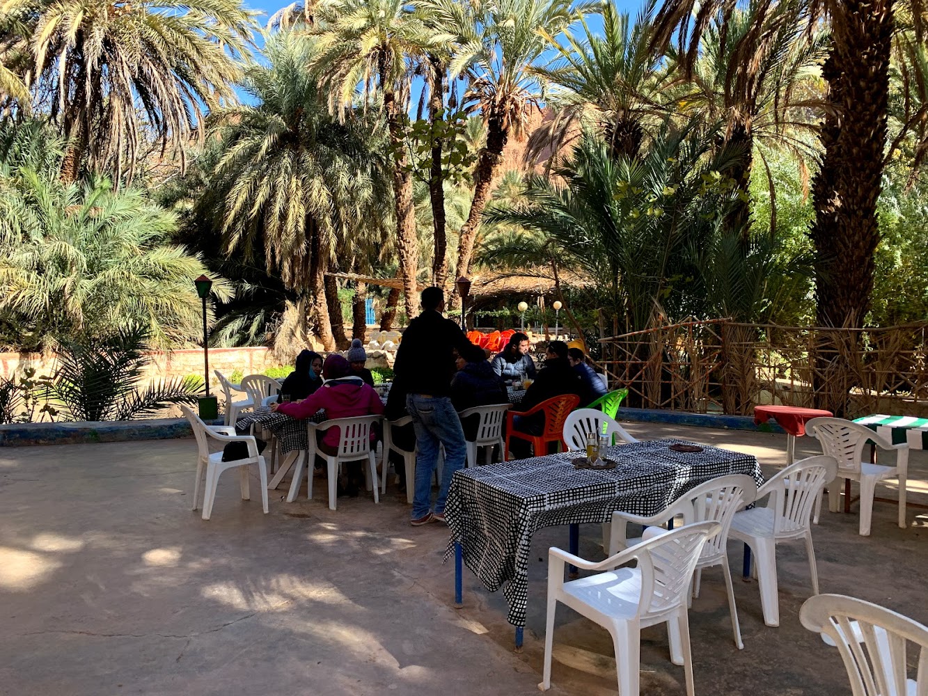 Poissons sacrés café - Tinghir