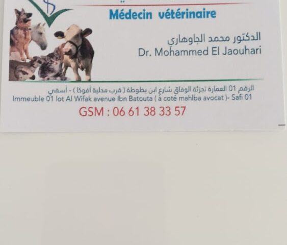 Medecin vétérinaire Dr Mohamed El Jaouhari - Safi - +212 661-383357