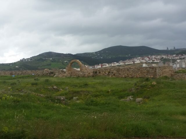 Site archéologique de Tamuda - Tétouan - +212 5399-69703