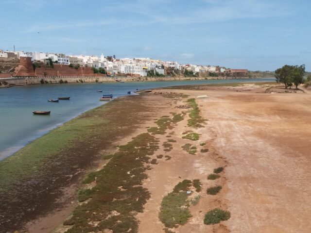 Mosquée Zaytouna - Azemmour -